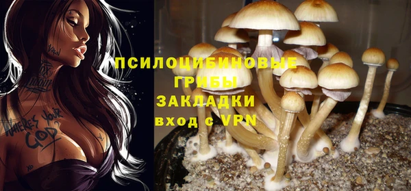 мяу мяу мука Киренск