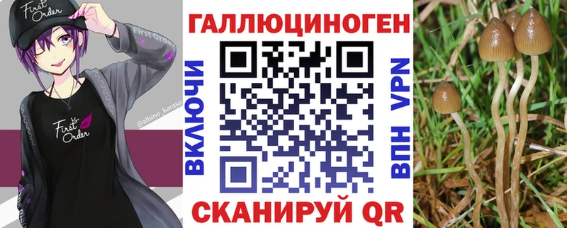 Псилоцибиновые грибы Cubensis  Купить  Лесозаводск 